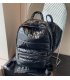 BP837 - Trendy Women's Travel Backpack