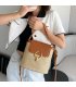 CL1424 - Woven Summer Fashion Bag
