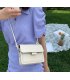 CL1531 - Fashionable Small Square Bag CL1531 - Fashionable Small Square Bag