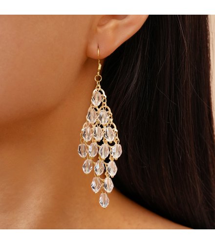E1638 - Elegant Glass Crystal Diamond Tassel Earrings