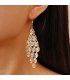 E1638 - Elegant Glass Crystal Diamond Tassel Earrings