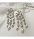 E1736 - European Style Long Pearl Tassel Earrings 