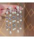 E1736 - European Style Long Pearl Tassel Earrings 