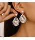 E1737 - Elegant Water Drop Pearl Earrings