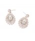 E1737 - Elegant Water Drop Pearl Earrings