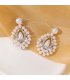 E1737 - Elegant Water Drop Pearl Earrings