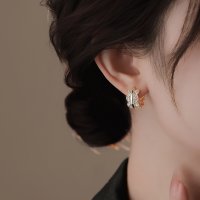 E1746 - Elegant Hoop Earrings for Women