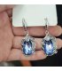 E1752 - Blue Gemstone Retro Earrings