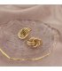 XE144 - Elegant Golden Earrings