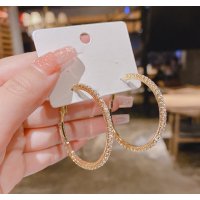 XE147 - Elegant Hoop Earrings