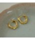 XE255 - Golden Ring Earrings