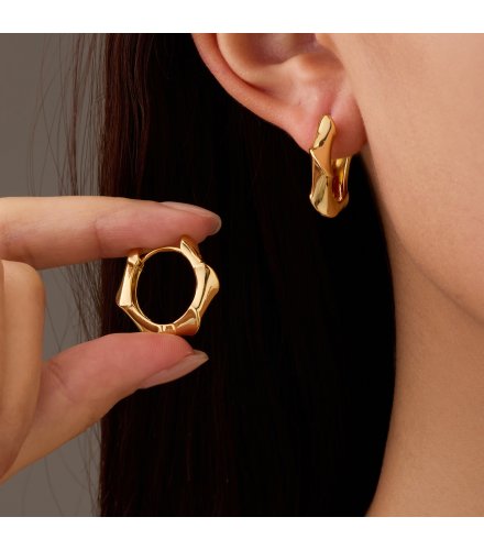 XE255 - Golden Ring Earrings