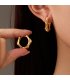 XE255 - Golden Ring Earrings