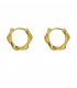 XE255 - Golden Ring Earrings