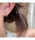 XE340 - Elegant Blue Crystal Earrings