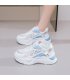 SH461 - Casual Mesh Chunky Fashion Shoes SH461 - Casual Mesh Chunky Fashion Shoes