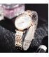 W3863 - Elegant Women's Wrist Watch