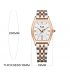 W3997 - Casual Box Dial Women's Watch