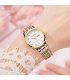 W3999 - Korean Fashion Quartz Women's watch