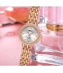W4078 - Elegant Nary Steel Fashion Watch
